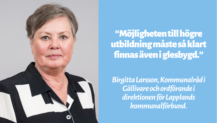 Birgitta Larsson, Kommunalråd Gällivare kommun