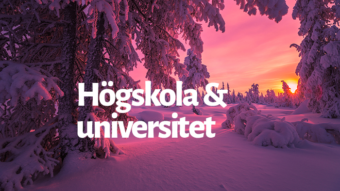 Solnedgång i rosa inne i skogen bland snötyngda träd med texten "högskola"